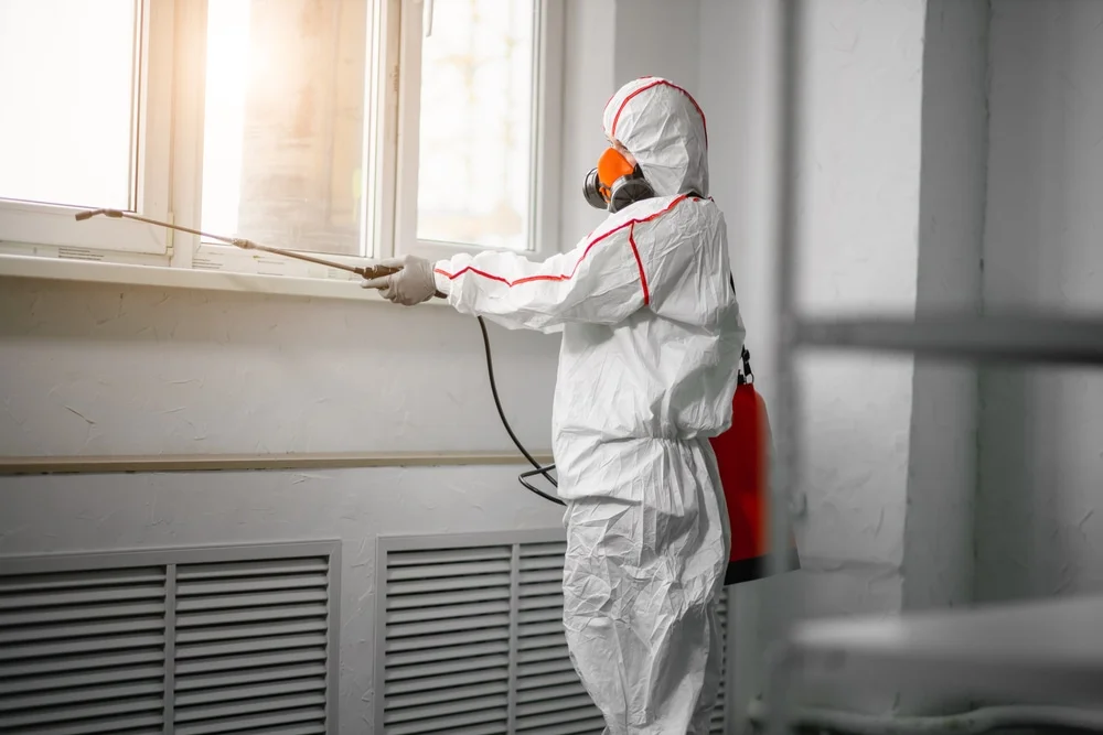 Professional mold remediation services in Dedham, MA